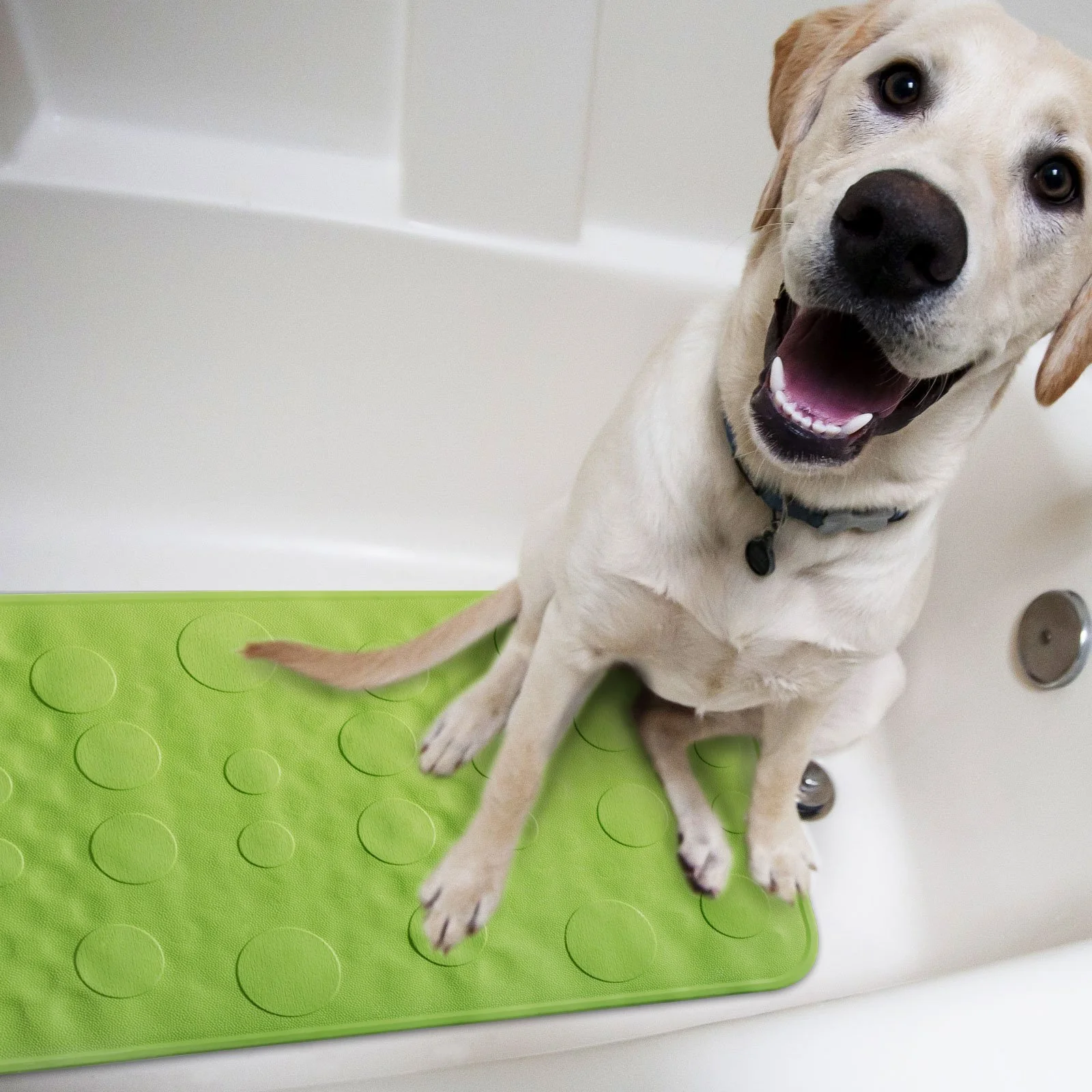 Productafbeelding 10