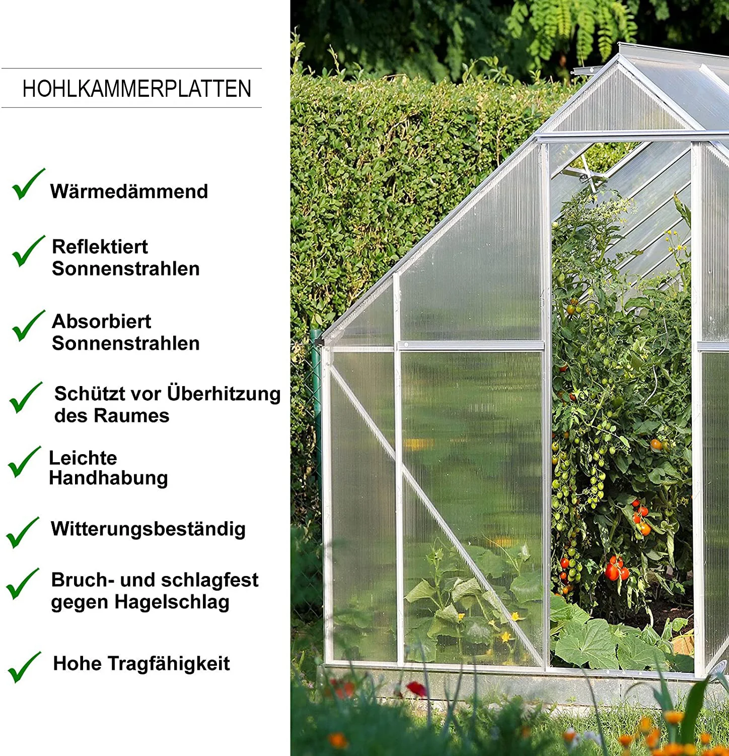 Productafbeelding 17