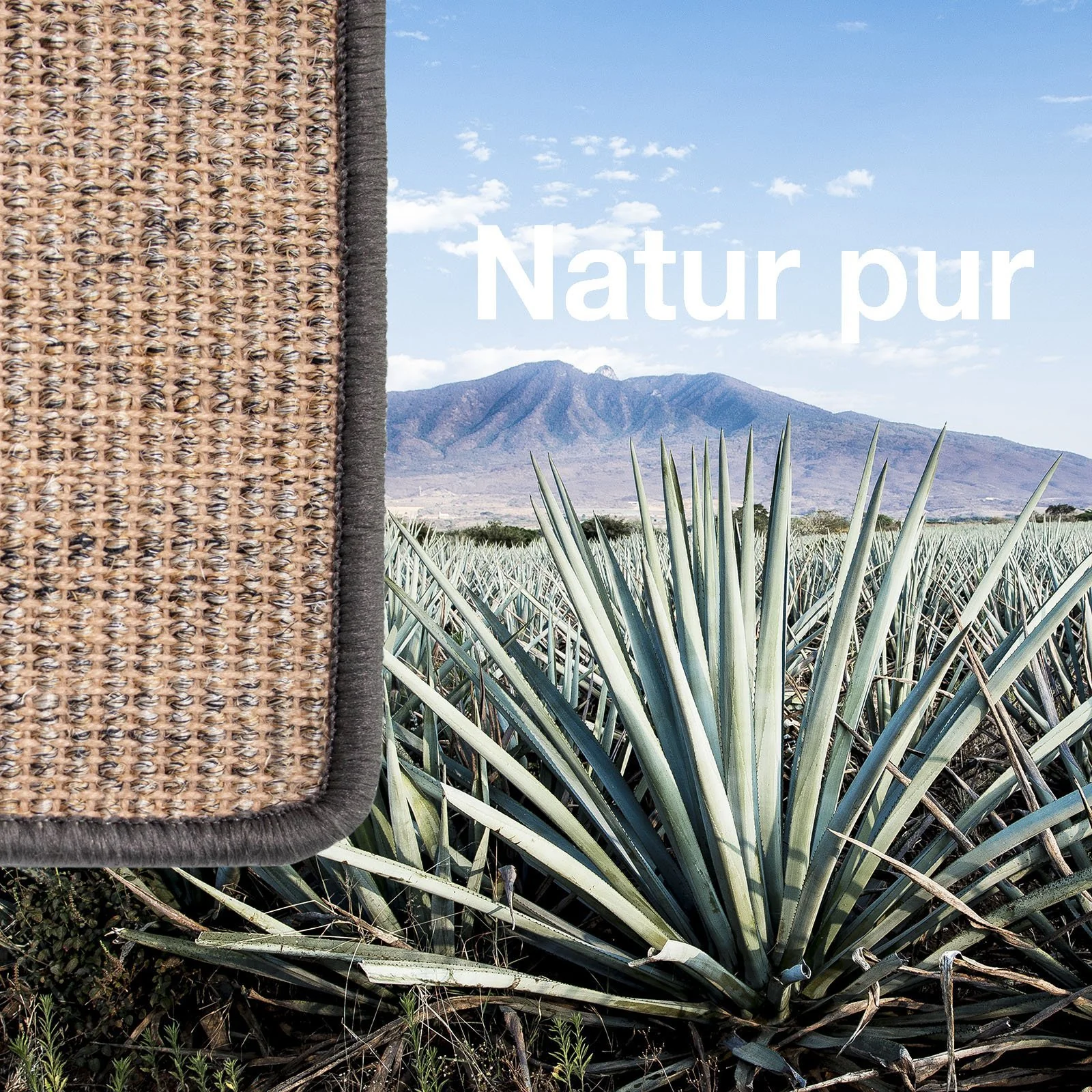 Productafbeelding 12